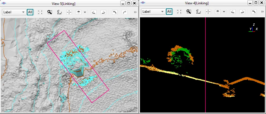 Original forest survey view showing raw point classification within a polygon area